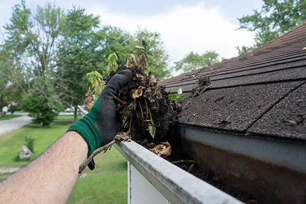 gutter cleaning services in Dallas