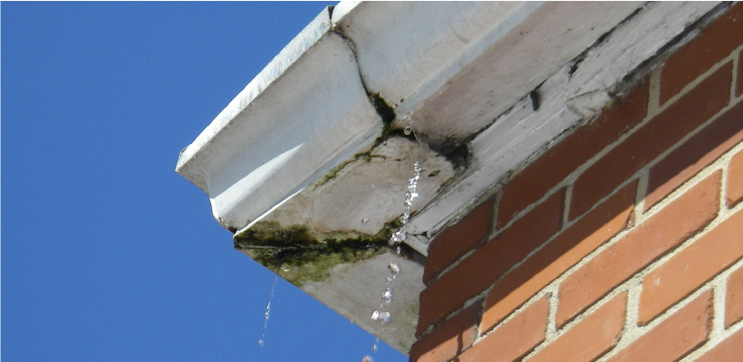 gutter leaks