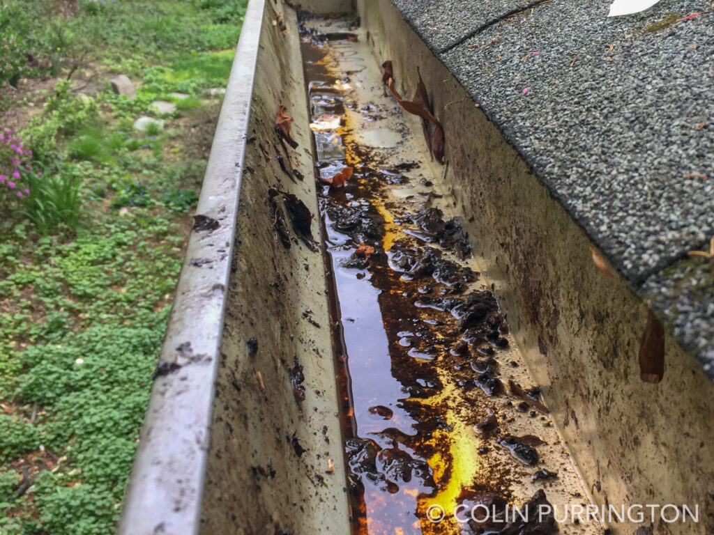 Gutter Bug Seamless vs. Sectional Gutters: What’s Best for Texas Homes?