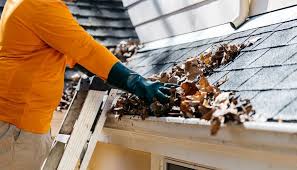 Clean Gutters and Downspout